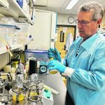 Paul Holloway, a University of Winnipeg microbiologist, is studying a unique microbe called myxobacteria. Sometimes called wolfpack bacteria, they attack other bacteria and fungi in a swarm. | Robert Arnason photo