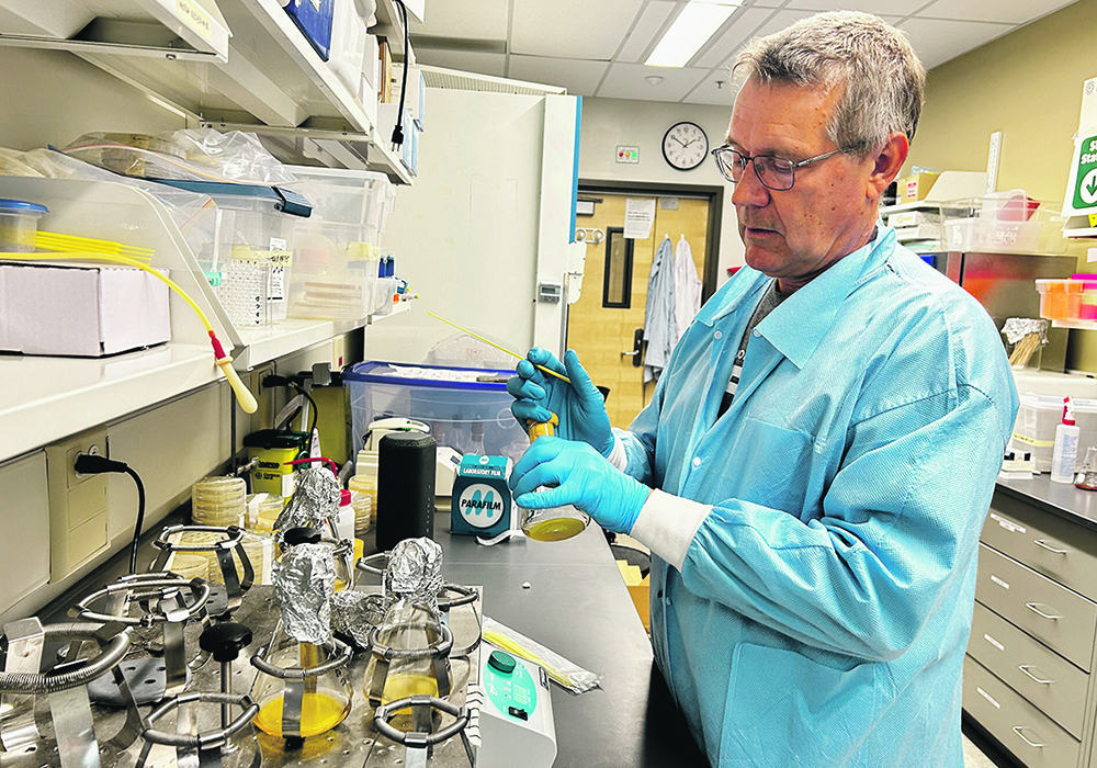Paul Holloway, a University of Winnipeg microbiologist, is studying a unique microbe called  myxobacteria. Sometimes called wolfpack bacteria, they attack other bacteria and fungi in a swarm.  |  Robert Arnason photo