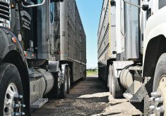 A USDA survey of dairy farms found that, of participating farms in three states, 51 per cent used trucks or trailers shared with other farms to move cattle. Fifty to 85 per cent had frequent visitors who had contact with cattle. | File photo