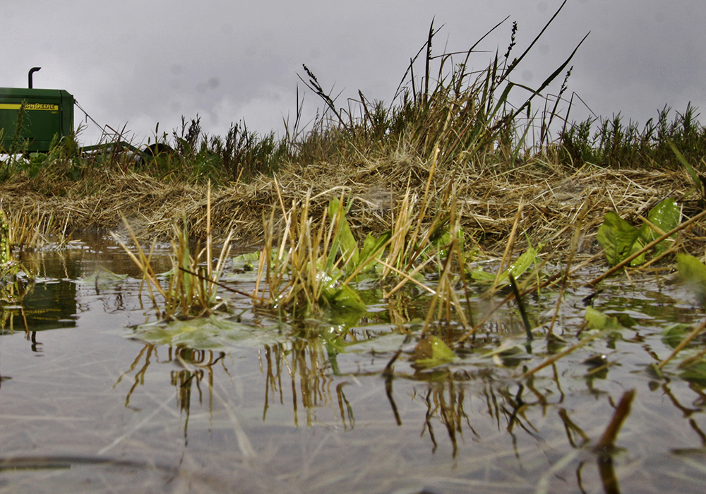 Heavy rains are expected throughout central Saskatchewan this weekend, prompting the Water Security Agency to issue a province-wide warning. | File photo
