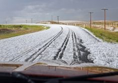 Hail can occur pretty much anywhere across North America, but there are two main regions where chances are significantly higher. The first is the central United States. The second is the Canadian Prairies, Alberta in particular. | Getty Images