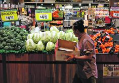 The Australian government’s decision to make its grocery code of conduct mandatory comes after a report found that the current code was “failing to address the imbalance of bargaining power between supermarkets and their suppliers, including farmers.”  |  File photo