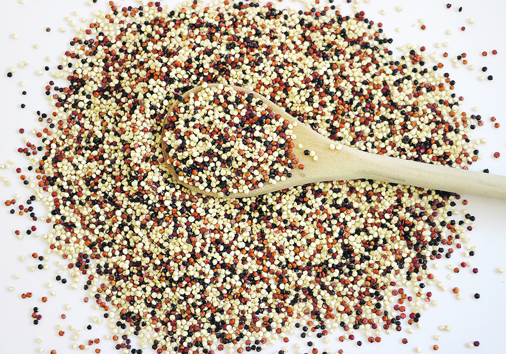 The mild flavour of quinoa blends well with other food. As well, it cooks in 15 minutes and is available whole as white, red or black seeds or processed into flour, flakes or puffs. It is a great food for people with diabetes or for those who are trying to lose weight.  |  Betty Ann Deobald photo