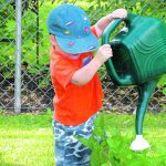 Families who garden together are not only growing vegetables but also raising future gardeners. | Alma Barkman photo
