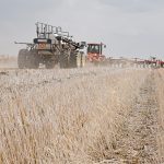 Canola seeding was forecast at 22 million acres, which was up by about 600,000 acres from the March forecast but in line with what was planted the previous year. Meanwhile, total wheat area was estimated at 26.6 million acres, down by about 1.5 per cent from both the March forecast and the year-ago level. | File photo