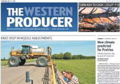 It was interesting to find a front page story in our July 7, 2011, issue in which David Phillips, the well-known senior climatologist with Environment Canada, said he thought Western Canada was going through a turbulent, transitional phase that would eventually lead to a new long-term climate regime that was more stable and predictable. | Screencap via producer.com
