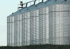 Farmers can access up to $1 million per year under the Advance Payments Program based on up to 50 per cent of the anticipated market value of the eligible commodities.  | File photo