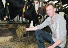 Han Langeler shows the ration fed to his cattle at his farm near Aalten in the Netherlands.  |  John Greig photo