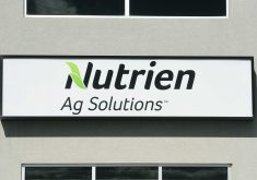 Nutrien has purchased Suncor’s agro-science assets, including a plant extract known as a photosensitizer.  |  File photo