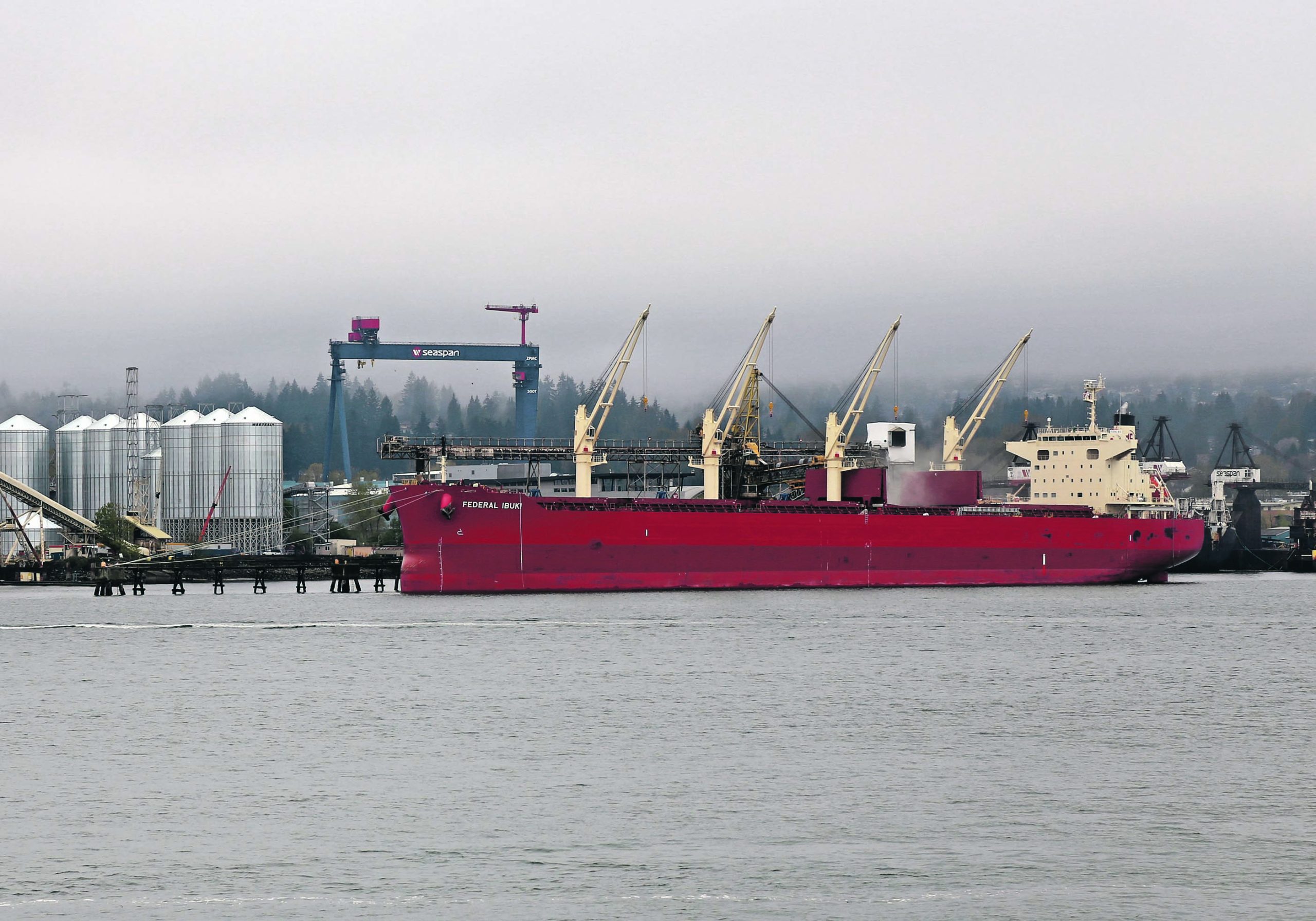 Grain is flowing well as the crop year comes to a close, with 10 vessels loaded at Vancouver late last month compared to the usual six or
seven. | File photo
