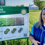On Tuesday Bayer announced the release of Huskie PRE, a combination of pyrasulfotole (Group 27) and bromoxynil (Group 6), registered for pre-emergent application on barley, triticale and spring, winter and durum wheat fields. | Dave Bedard photo