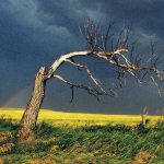 Insurance companies report fewer hail claims than usual this year, but there is still plenty of time for claims to surge. “We’re just sort of getting into the meat of the hail season.” | File photo