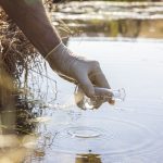 Sulfate poisoning is a large concern when it comes to water quality. When sulfate levels are too high, they can bind up trace minerals and can sometimes lead to polio in livestock. | Getty Images