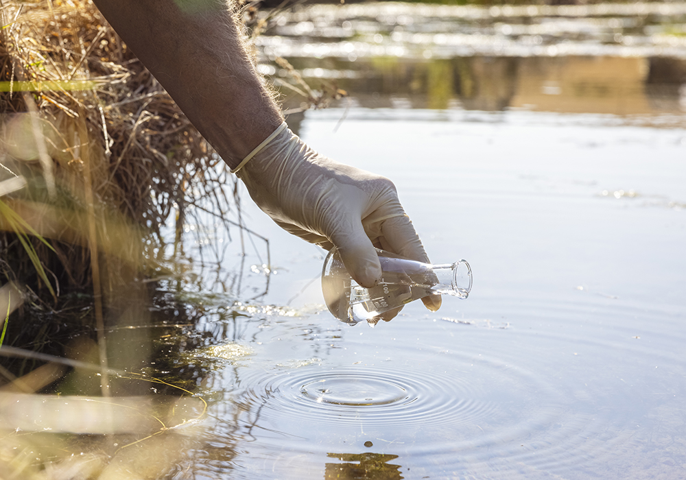 Sulfate poisoning is a large concern when it comes to water quality. When sulfate levels are too high, they can bind up trace minerals and can sometimes lead to polio in livestock. | Getty Images