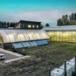 Assiniboine College’s current greenhouse facilities are 3,300 sq. feet and house research and student learning activities. | Assiniboine College photo