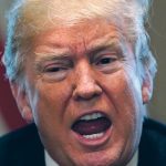 While Biden and the Democrats are not overly trade friendly, the Republicans under Trump will be even more protectionist. One of Trump’s stated policies is a 10 per cent tariff on all imported goods. | Reuters photo