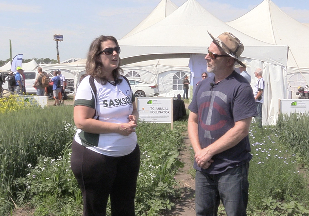 SaskSoil's Tamara McLoughlin talks to Western Producer reporter Robert Arnason about SaskSoil's Marginal Areas Rehabilitation in Saskatchewan (MARS) program at the Ag in Motion farm show. | Screencap by Greg Berg