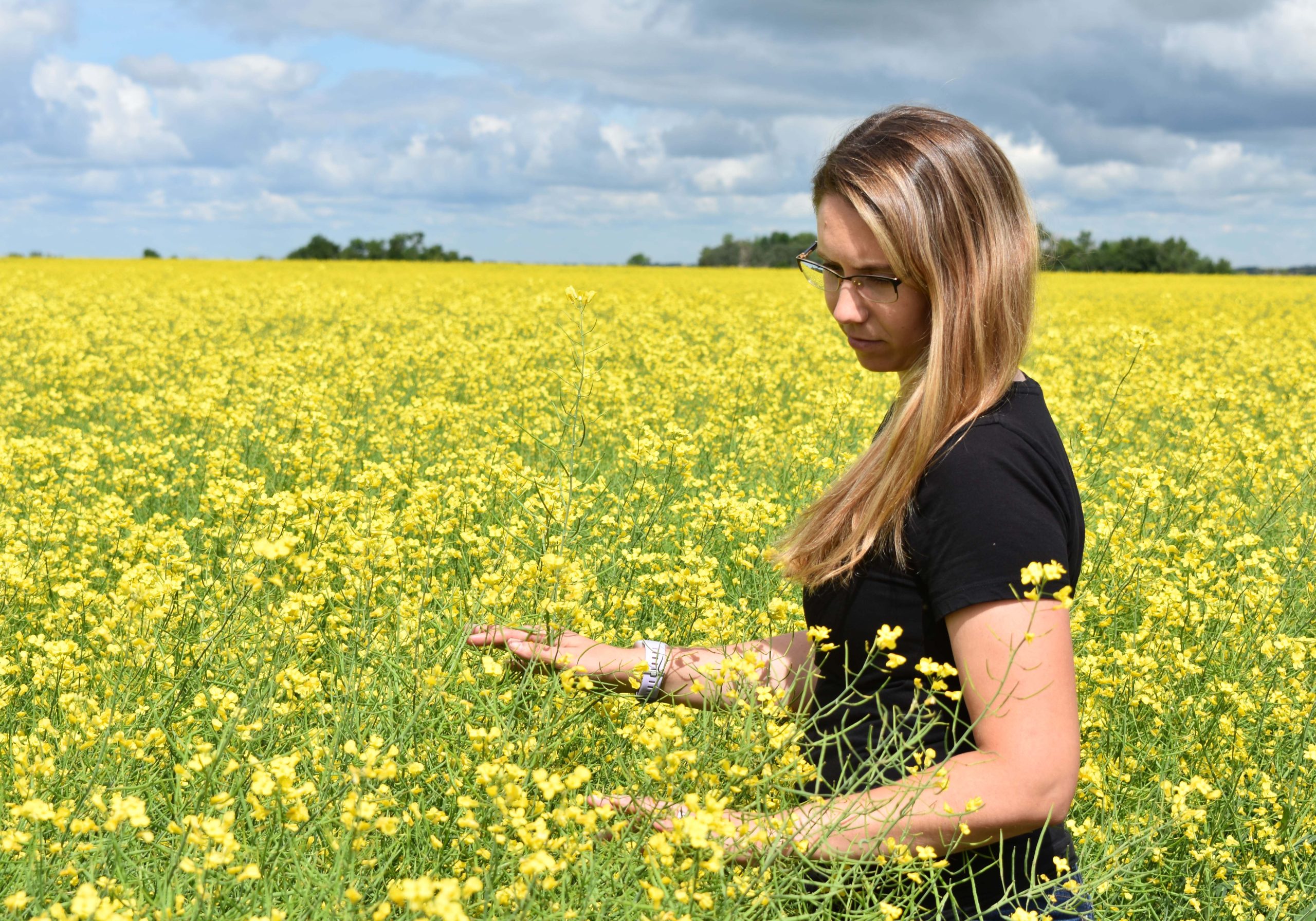 Andrea De Roo wades
out into a canola trial field near Indian Head,
Sask. in 2022 | File photo