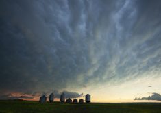 Lots of lightning or nearly continuous thunder is a good indication of a severe storm. As the storm approaches, watch for a green sky and mammatus clouds (clouds that look like bag-like sacks that hang beneath a cloud). These conditions usually indicate the storm contains huge amounts of water and has very strong up and down drafts. | Getty Images