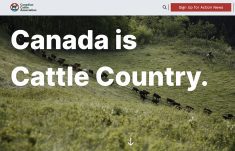 Canada Beef and the CCA are getting up to $5,865,110 and $453,364, respectively, for advertising campaigns, trade missions, technical training and educational seminars. | Screencap via cattle.ca