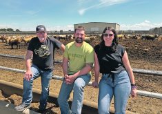 Les Wall and Jared and Karleen Clark of KCL Cattle stand in front of a pen of feeder cattle. The family is working with experts to help the farm transition go smoothly.  |   Mary MacArthur photo