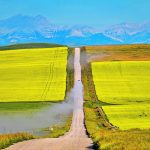 Producers are urged to knock off the rust and sharpen their marketing skills because the large crop that is expected this year will create an environment they haven’t seen in awhile. | Mike Sturk photo