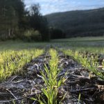 Soil Armour: Jacknife Creek Land & Cattle