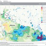 Precipitation remains average to above average. This map shows the total precipitation that has fallen so far in this growing season as a percentile. With the exception of north-central Alberta, the Prairies have seen average to above-average precipitation. The second standout is how wet most of southern Manitoba has been.
