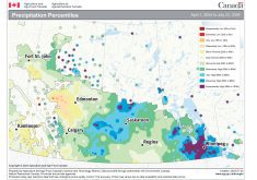 Precipitation remains average to above average. This map shows the total precipitation that has fallen so far in this growing season as a percentile. With the exception of north-central Alberta, the Prairies have seen average to above-average precipitation. The second standout is how wet most of southern Manitoba has been.