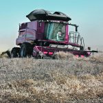 Many variables affect canola loss rates out the back of the combine during harvest, and they are difficult to isolate. | File photo
