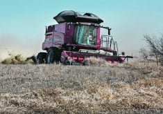 Many variables affect canola loss rates out the back of the combine during harvest, and they are difficult to isolate.  |  File photo