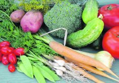 Gardening, home cooking and food preservation increased during the COVID-19 pandemic while people were at home. The bountiful gardens helped to reduce food costs.  |  Betty Ann Deobald photo
