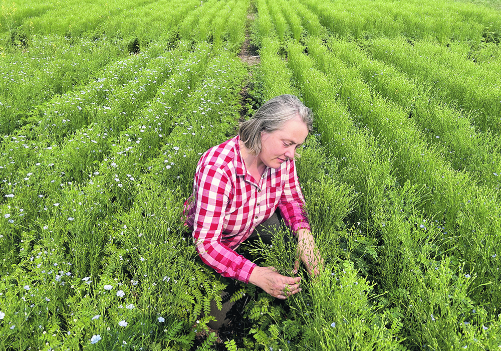 Lana Shaw, research manager at the South East Research Farm, must juggle a multitude of contrasting agronomic requirements as she oversees hundreds of trials commissioned by dozens of clients.  |  Ed White photo