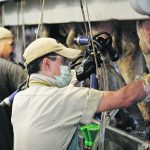 The United States plans to spend $10 million to curb avian flu in farm workers, including a vaccine push. | File photo