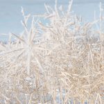 If La Nina develops this summer as anticipated, it could bring unwelcome weather at the tail end of the growing season. | File photo
