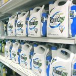 Bayer has replaced glyphosate with new active ingredients in its products for household use in the United States to reduce the risk of litigation. | File photo