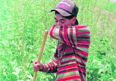 A U.S. group seeks to side step the slow and increasingly politicized government machinery and appeal directly to consumers and large brands in its efforts to protect farm workers labouring in hot conditions.  |  Reuters/Jeff Mitchell photo