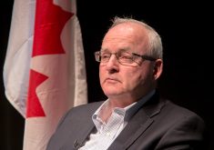 Whether he was riding a steer at Canadian Western Agribition, fighting off a carjacker or debating in the legislature, Lyle Stewart was defined by his years as a farmer and rancher who could, literally, roll with the punches. | File photo