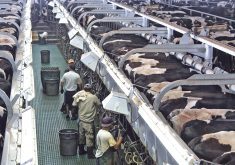 According to the National Milk Producers Federation, “immigrant labour accounts for 51 per cent of all dairy labour, and dairies that employ immigrant labour produce 79 per cent of the U.S. milk supply." | File photo