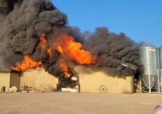 Black smoke billowed hundreds of feet into the sky and was visible from as far away as Saskatoon as emergency crews arrived on the scene of a chicken barn fire south of Delisle, Sask., last night. | Delisle Fire photo