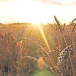 Although a heat wave is a weather event, its impact on people is key. This is why we can have heat waves in winter, but they don’t get as much attention due to their more limited impact on people. | File photo
