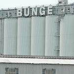 Adjusted earnings in Bunge’s agribusiness segment fell 55 per cent in the April-June quarter from a year ago to $298 million. | File photo