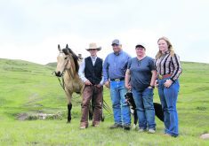 The Taylor family —Clayton, Rob, Audrey and Courtney won the 2024 Environmental Stewardship award.  |  Alberta Beef Producers photo