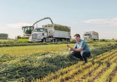 Kenny Piecharka of KWS Seeds Canada says the company’s hybrid rye now outperforms traditional open pollinated ryes by as much as 40 per cent. The company’s Cover+ program is new this year for Canadian farmers.  |  KWS Seeds Canada photo