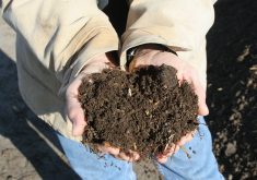 Keystone Agricultural Producers is looking for other commodity group partners on a soil health roundtable following Senate report calling for more action on soil health improvement.  |  File photo