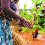 Climate shocks affect output for farmers and fishermen with 300 million people on the African continent short of food. | Getty Images