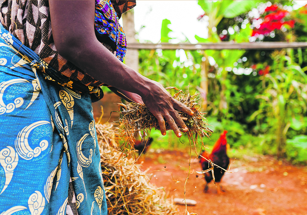 Climate shocks affect output for farmers and fishermen with 300 million people on the African continent short of food. | Getty Images