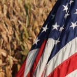 On Aug. 12, USDA estimated that the 2024 U.S. corn crop would total 15.1 billion bushels, a small decline from a year ago but still the third largest crop ever. A record per acre national yield, pegged at 183.1 bushels, is almost six more per acre than in 2023. | File photo