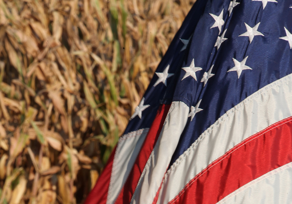 On Aug. 12, USDA estimated that the 2024 U.S. corn crop would total 15.1 billion bushels, a small decline from a year ago but still the third largest crop ever. A record per acre national yield, pegged at 183.1 bushels, is almost six more per acre than in 2023. | File photo