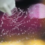 Paraquat is the active ingredient in a broad-spectrum herbicide marketed under the brand name Gramoxone. | File photo